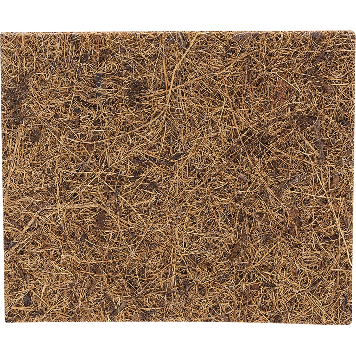 ECOCOCONUT Scourer Scrub Pad x 1