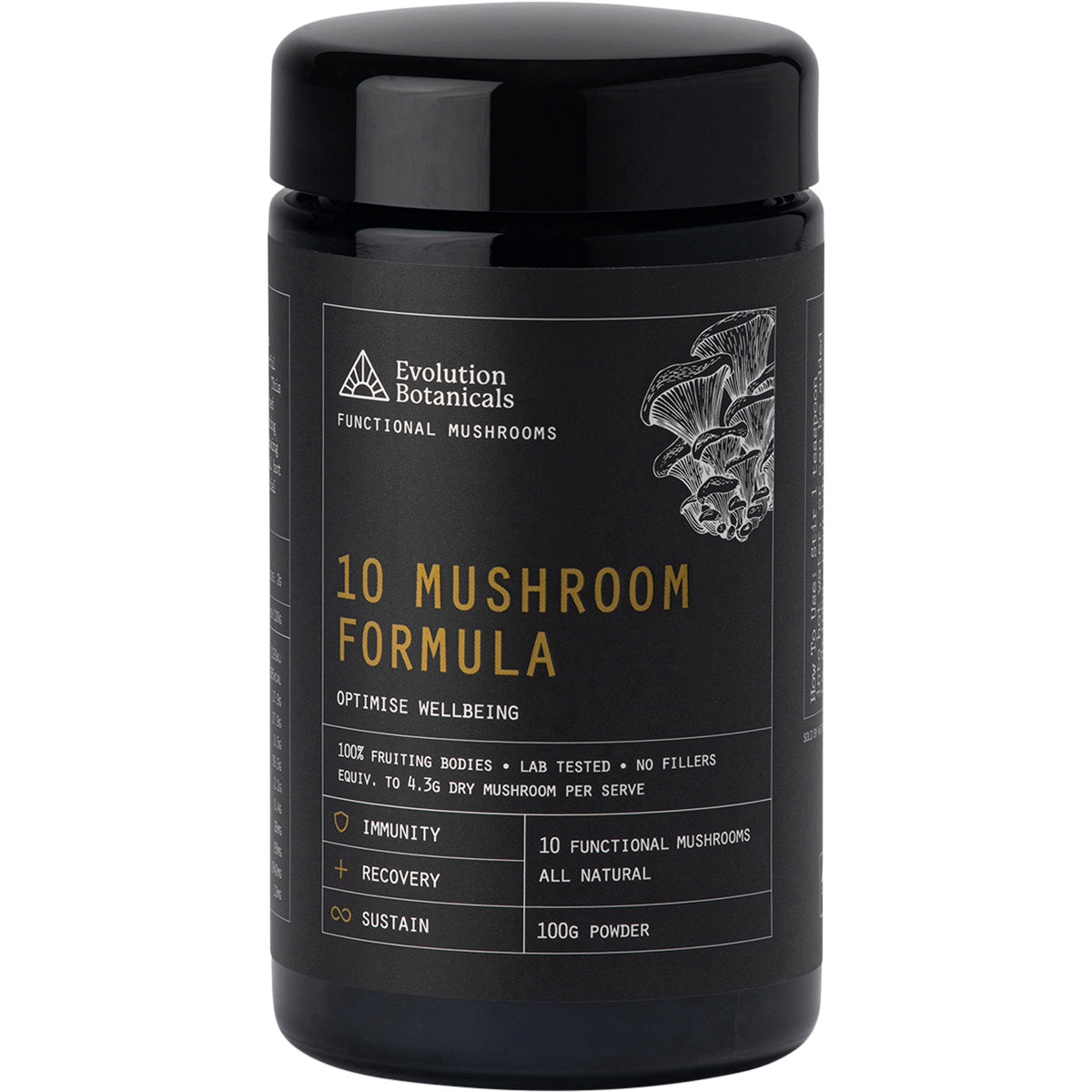 EVOLUTION BOTANICALS 10 Mushroom Formula Optimise Wellbeing 1 x 100g