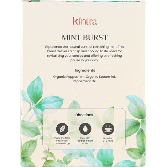 Kintra Blends Herbal Tea Bags Mint Burst
