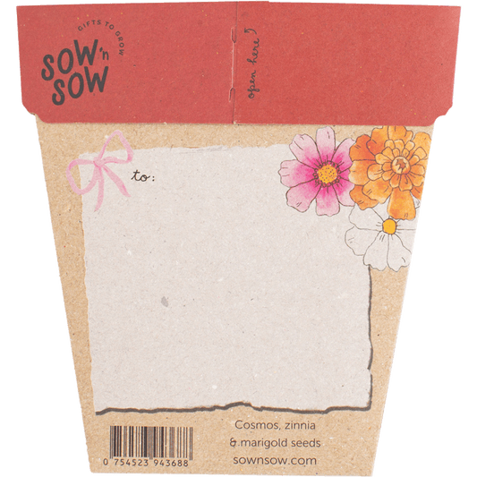 Sow 'n Sow Gift of Seeds Christmas Blooms