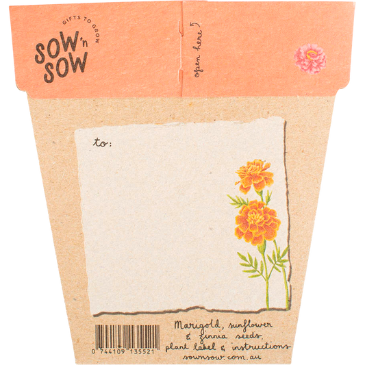 Sow 'n Sow Gift of Seeds Secret Garden