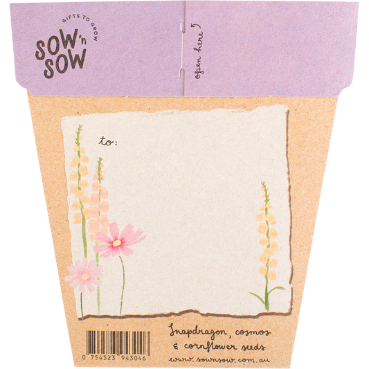 Sow 'n Sow Gift of Seeds Happy Birthday Picnic