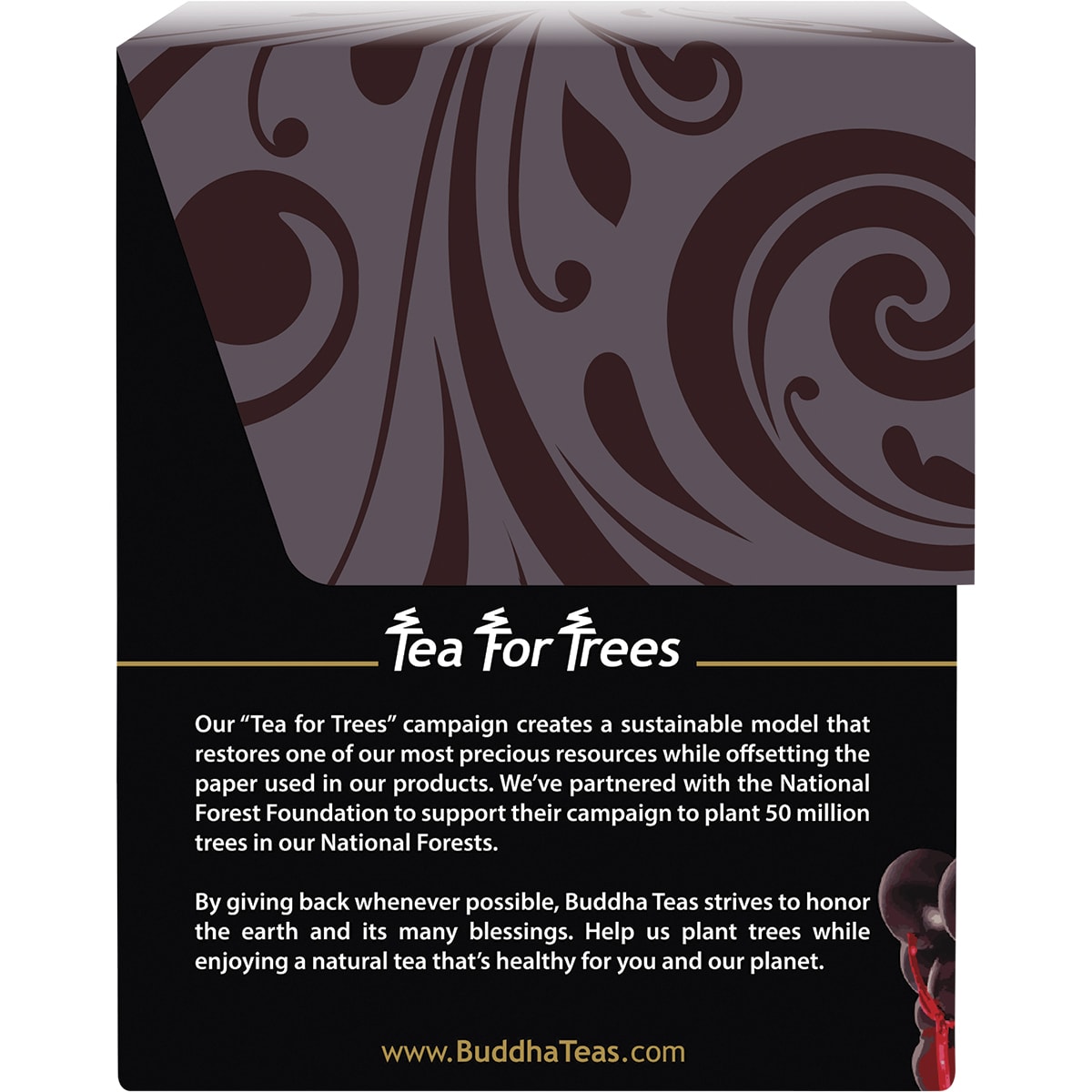 BUDDHA TEAS Organic Herbal Tea Bags Elderberry Tea 1 x 18pk