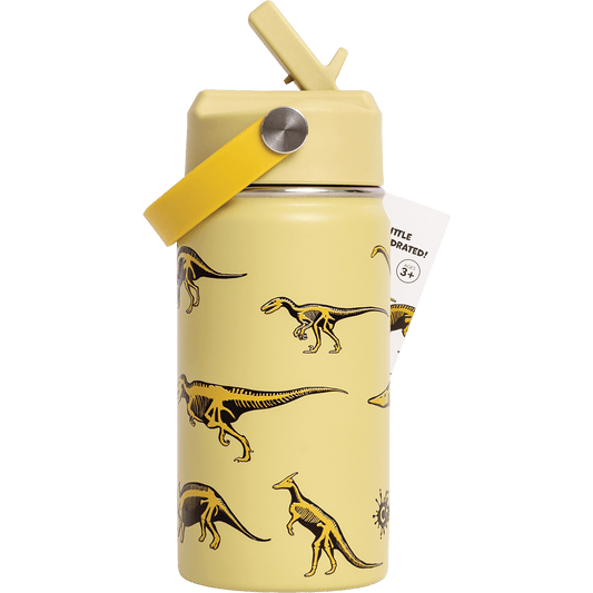 Cheeki Kids Bottle Insulated Dinosaur