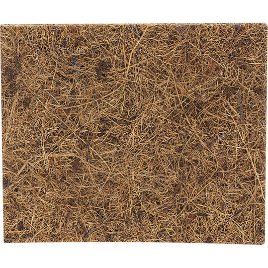 ECOCOCONUT Scourer Scrub Pad x 1