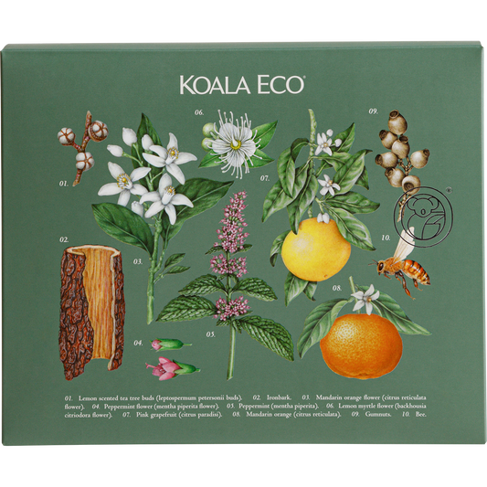 Koala Eco Gift Pack Hand Wash, Kitchen Cleaner & Dish Soap
