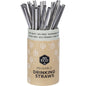 EVER ECO Stainless Steel Straws Straight 1 x 25pk