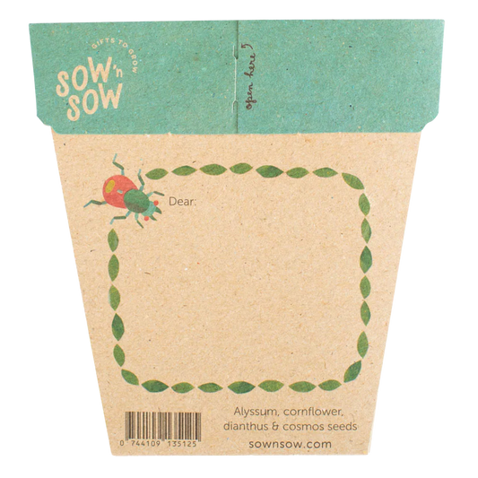 Sow 'n Sow Gift of Seeds Garden Wonderland