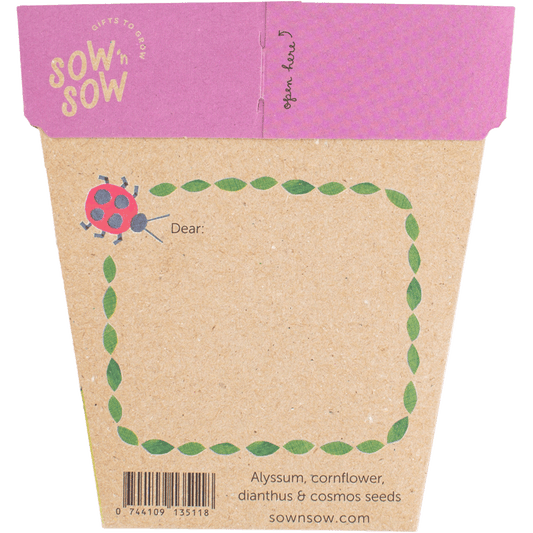 Sow 'n Sow Gift of Seeds Enchanted Garden