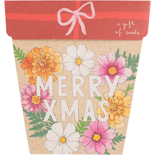 Sow 'n Sow Gift of Seeds Christmas Blooms