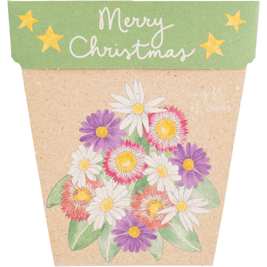Sow 'n Sow Gift of Seeds Christmas Native Daisies