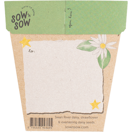Sow 'n Sow Gift of Seeds Christmas Native Daisies