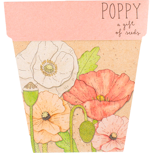 Sow 'n Sow Gift of Seeds Poppy