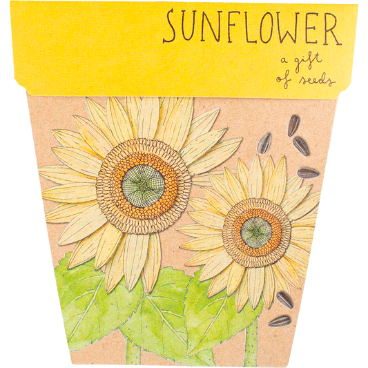Sow 'n Sow Gift of Seeds Sunflower