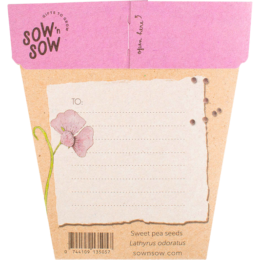 Sow 'n Sow Gift of Seeds Sweet Pea