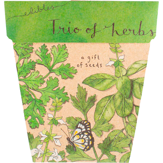 Sow 'n Sow Gift of Seeds Trio of Herbs