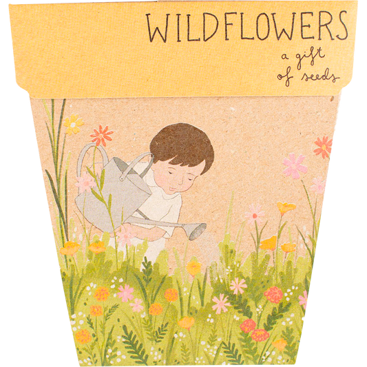 Sow 'n Sow Gift of Seeds Wildflowers