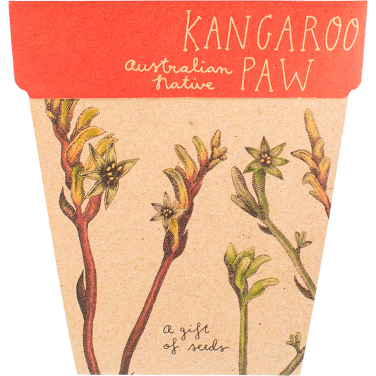 Sow 'n Sow Gift of Seeds Kangaroo Paw