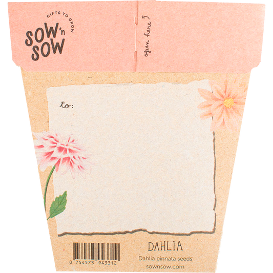 Sow 'n Sow Gift of Seeds Dahlia