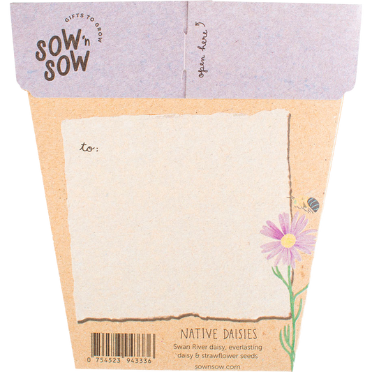 Sow 'n Sow Gift of Seeds Daisies Native