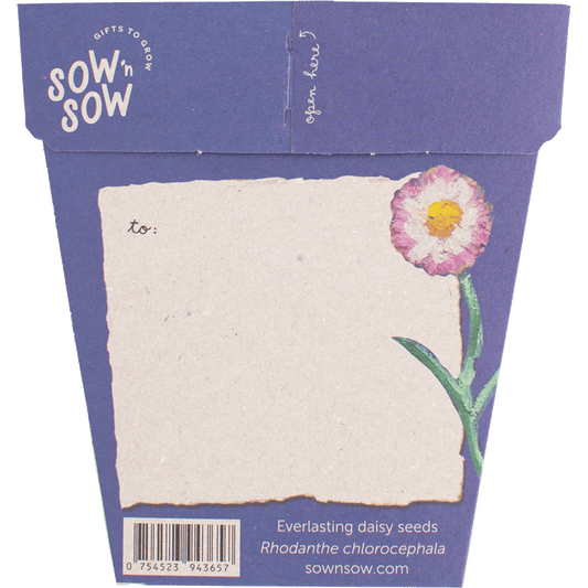 Sow 'n Sow Gift of Seeds With Sympathy