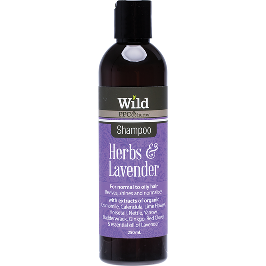 Wild Shampoo Herbs & Lavender